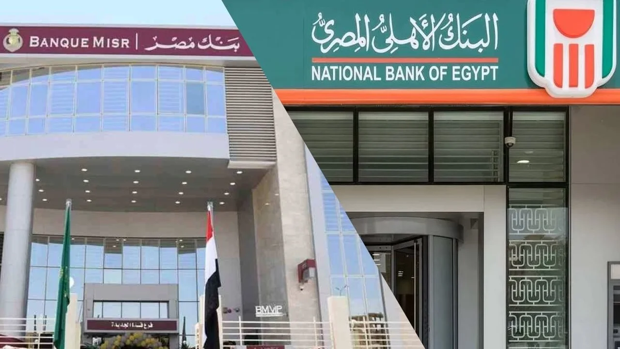هبوط الدولار إلى 48 جنيهًا يفتح المجال لأعلى عائد على الشهادات الدولارية